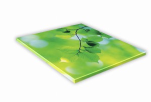 SZKLANA DESKA KUCHENNA 30x30 455f Gałązka