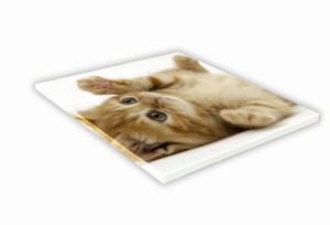 SZKLANA DESKA KUCHENNA 30x30 459f Kot