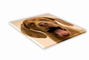 SZKLANA DESKA KUCHENNA 30x30 461f Catalburun