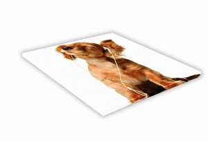 SZKLANA DESKA KUCHENNA 35x35 462g Jamnik miniatura