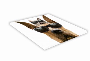 SZKLANA DESKA KUCHENNA 30x30 463f Doberman i kot