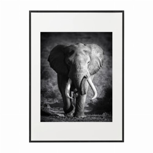 czarna rama 50x70cm i 70x100cm z passe-partout