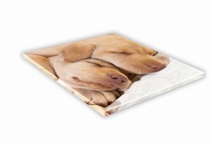 SZKLANA DESKA KUCHENNA 35x35 465g Labrador