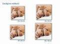 465 labrador retriever wielkości mockup.jpg