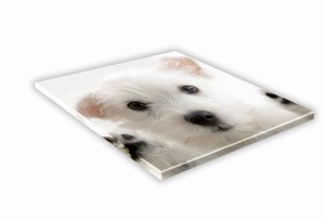 SZKLANA DESKA KUCHENNA 40x40 466h Maltańczyk