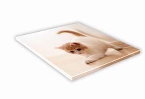 SZKLANA DESKA KUCHENNA 40x40 469h Kociak