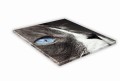 470 ojos azules mockup.jpg