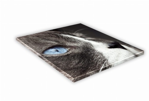 470 ojos azules mockup.jpg