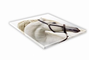 SZKLANA DESKA KUCHENNA 30x30 472f Biały koń