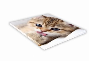 SZKLANA DESKA KUCHENNA 25x25 475e Kociak