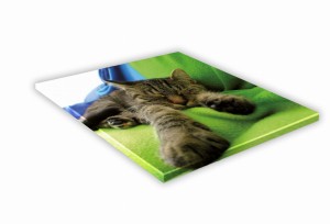 SZKLANA DESKA KUCHENNA 25x25 476e Kot pręgowany