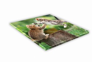 SZKLANA DESKA KUCHENNA 25x25 479e Bawiące się koty