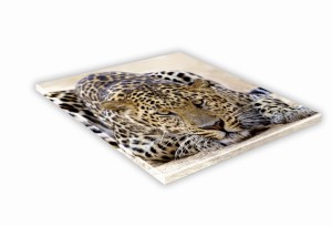 SZKLANA DESKA KUCHENNA 35x35 484g Lampart