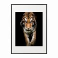 czarna rama 50x70cm i 70x100cm z passe-partout