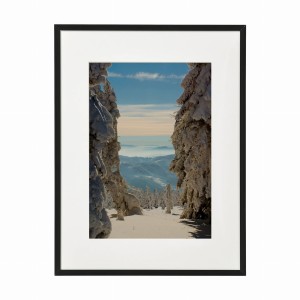 PLAKAT W RAMIE MAŁY - Zima i las