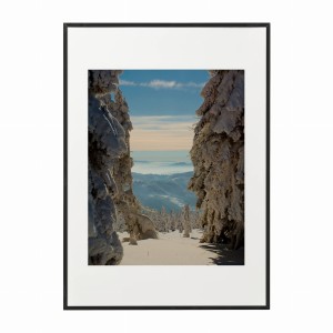 PLAKAT W RAMIE DUŻY - Zima i las