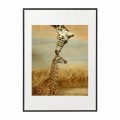 czarna rama 50x70cm i 70x100cm z passe-partout