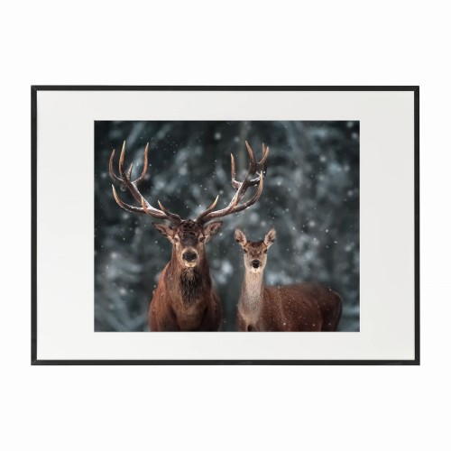 czarna rama 70x50cm i 100x70cm z passe-partout