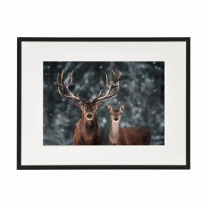 PLAKAT W RAMIE MAŁY - Jelenie