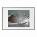 czarna rama 70x50cm i 100x70cm z passe-partout