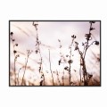 czarna rama 70x50cm i 100x70cm bez passe-partout
