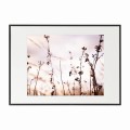 czarna rama 70x50cm i 100x70cm z passe-partout