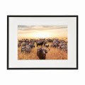 czarna rama 40x30cm i 50x40cm z passe-partout