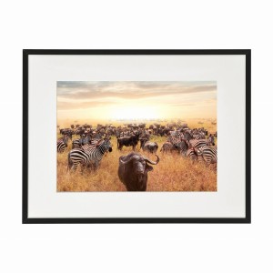 PLAKAT W RAMIE MAŁY - Safari