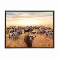 czarna rama 40x30cm i 50x40cm bez passe-partout