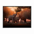 czarna rama 40x30cm i 50x40cm bez passe-partout