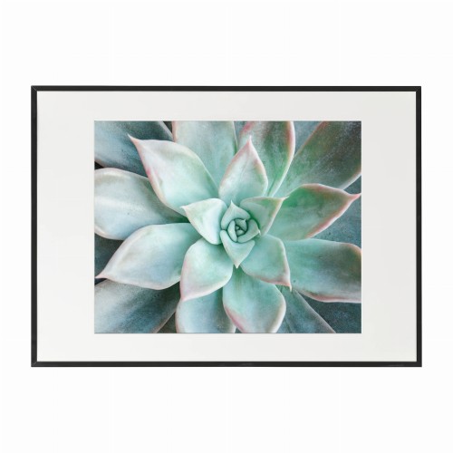 czarna rama 70x50cm i 100x70cm z passe-partout