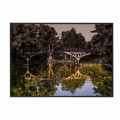 czarna rama 70x50cm i 100x70cm bez passe-partout