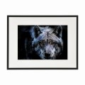 czarna rama 40x30cm i 50x40cm z passe-partout
