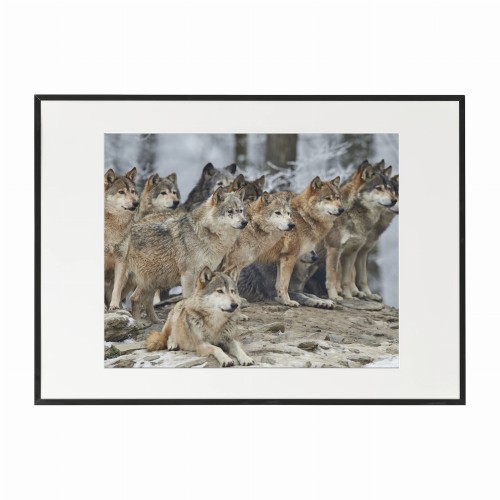czarna rama 70x50cm i 100x70cm z passe-partout
