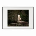 czarna rama 70x50cm i 100x70cm z passe-partout