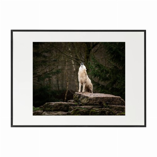 czarna rama 70x50cm i 100x70cm z passe-partout