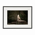 czarna rama 40x30cm i 50x40cm z passe-partout
