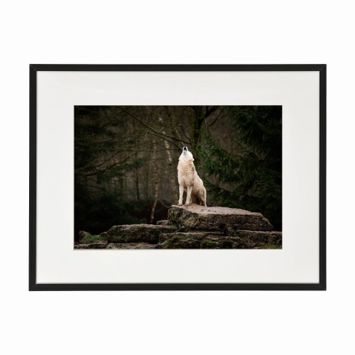 czarna rama 40x30cm i 50x40cm z passe-partout