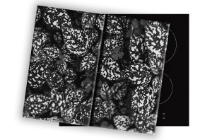 SZKLANA DESKA NA KUCHENKĘ 2x30x52 013C MONO LIŚCIE