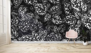 FOTOTAPETA - Czarne liście 