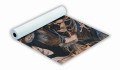 fototapeta